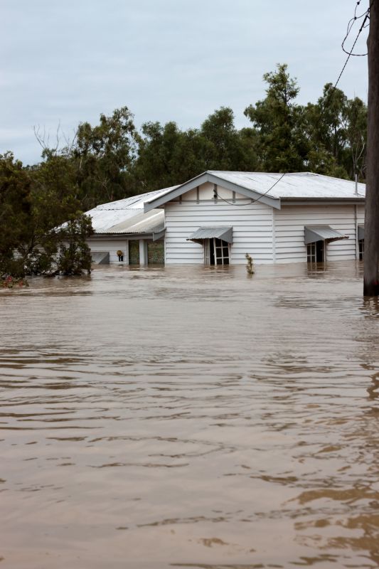 Flooded Basement Cleanup detail
